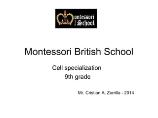 Montessori British School
Cell specialization
9th grade
Mr. Cristian A. Zorrilla - 2014
 