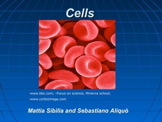 CellsCells
Mattia Sibilia and Sebastiano Aliquò
-www.bbc.com; -Focus on science, Minerva school;
-www.corbisimage.com
 