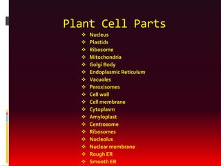 Plant Cell Parts
     Nucleus
     Plastids
     Ribosome
     Mitochondria
     Golgi Body
     Endoplasmic Reticulum
     Vacuoles
     Peroxisomes
     Cell wall
     Cell membrane
     Cytoplasm
     Amyloplast
     Centrosome
     Ribosomes
     Nucleolus
     Nuclear membrane
     Rough ER
     Smooth ER
 
