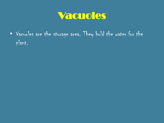 Vacuoles
• Vacuoles are the storage area. They hold the water for the
  plant.
 