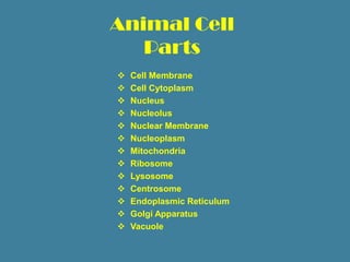 Animal Cell
   Parts
   Cell Membrane
   Cell Cytoplasm
   Nucleus
   Nucleolus
   Nuclear Membrane
   Nucleoplasm
   Mitochondria
   Ribosome
   Lysosome
   Centrosome
   Endoplasmic Reticulum
   Golgi Apparatus
   Vacuole
 