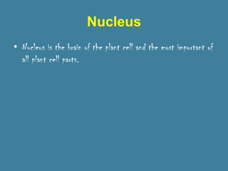 Nucleus
• Nucleus is the brain of the plant cell and the most important of
  all plant cell parts.
 