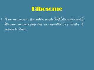 Ribosome
• These are the parts that mainly contain RNA[ribonucleic acids].
  Ribosomes are those parts that are responsible for production of
  proteins in plants.
 