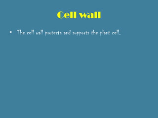 Cell wall
• The cell wall protects and supports the plant cell.
 