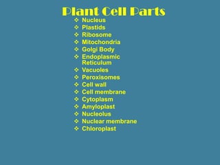 Plant Cell Parts
    Nucleus
    Plastids
    Ribosome
    Mitochondria
    Golgi Body
    Endoplasmic
     Reticulum
    Vacuoles
    Peroxisomes
    Cell wall
    Cell membrane
    Cytoplasm
    Amyloplast
    Nucleolus
    Nuclear membrane
    Chloroplast
 