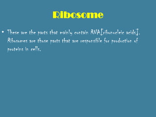 Ribosome
• These are the parts that mainly contain RNA[ribonucleic acids].
  Ribosomes are those parts that are responsible for production of
  proteins in cells.
 