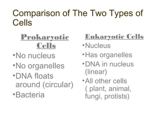 Comparison of The Two Types of
Cells
Prokaryotic
Cells
•No nucleus
•No organelles
•DNA floats
around (circular)
•Bacteria
Eukaryotic Cells
•Nucleus
•Has organelles
•DNA in nucleus
(linear)
•All other cells
( plant, animal,
fungi, protists)
 