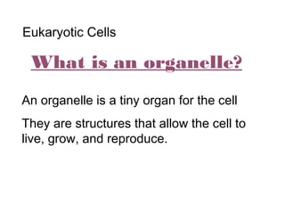 Eukaryotic Cells
What is an organelle?
An organelle is a tiny organ for the cell
They are structures that allow the cell to
live, grow, and reproduce.
 