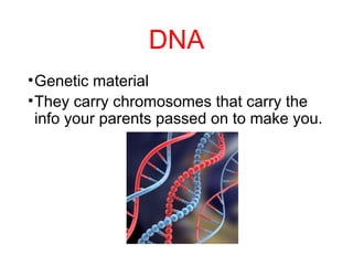 DNA
•Genetic material
•They carry chromosomes that carry the
info your parents passed on to make you.
 