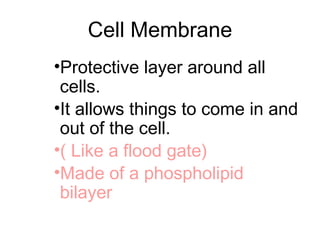 Cell Membrane
•Protective layer around all
cells.
•It allows things to come in and
out of the cell.
•( Like a flood gate)
•Made of a phospholipid
bilayer
 