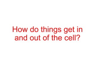 How do things get in
and out of the cell?
 