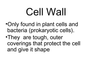Cell Wall
•Only found in plant cells and
bacteria (prokaryotic cells).
•They are tough, outer
coverings that protect the cell
and give it shape
 