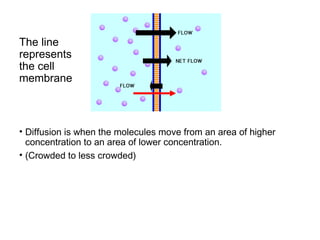 The line
represents
the cell
membrane
• Diffusion is when the molecules move from an area of higher
concentration to an area of lower concentration.
• (Crowded to less crowded)
 