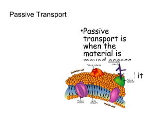 Passive Transport
•Passive
transport is
when the
material is
moved across
the cell
membrane and it
does not use
energy.
 
