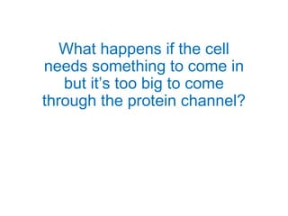 What happens if the cell
needs something to come in
but it’s too big to come
through the protein channel?
 
