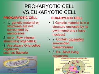PROKARYOTIC CELL
VS.EUKARYOTIC CELL
PROKARYOTIC CELL
• 1. genetic material or
structures are not
surrounded by
membranes
2. no or Few internal
structures( organelles)
3. Are always One-celled
organisms
such as Bacteria
EUKARYOTIC CELL
• 1.Genetic material is in a
structure enclosed by its
own membrane ( have
nucleus)
• 2. Contain organelles
surrounded
bymembranes
• 3. Ex. -Most living
organisms
 