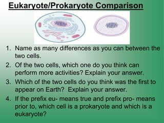 Eukaryote/Prokaryote Comparison
1. Name as many differences as you can between the
two cells.
2. Of the two cells, which one do you think can
perform more activities? Explain your answer.
3. Which of the two cells do you think was the first to
appear on Earth? Explain your answer.
4. If the prefix eu- means true and prefix pro- means
prior to, which cell is a prokaryote and which is a
eukaryote?
 