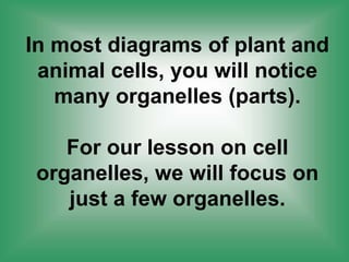 In most diagrams of plant and
animal cells, you will notice
many organelles (parts).
For our lesson on cell
organelles, we will focus on
just a few organelles.
 