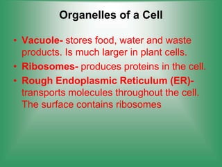 Organelles of a Cell
• Vacuole- stores food, water and waste
products. Is much larger in plant cells.
• Ribosomes- produces proteins in the cell.
• Rough Endoplasmic Reticulum (ER)-
transports molecules throughout the cell.
The surface contains ribosomes
 