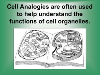 Cell Analogies are often used
to help understand the
functions of cell organelles.
 