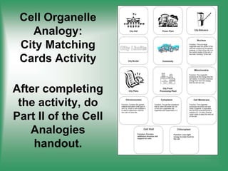 Cell Organelle
Analogy:
City Matching
Cards Activity
After completing
the activity, do
Part II of the Cell
Analogies
handout.
 