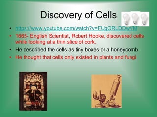 Discovery of Cells
• https://www.youtube.com/watch?v=FUqORLDDwVM
• 1665- English Scientist, Robert Hooke, discovered cells
while looking at a thin slice of cork.
• He described the cells as tiny boxes or a honeycomb
• He thought that cells only existed in plants and fungi
 