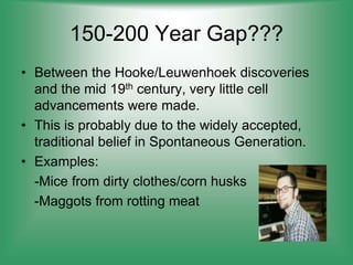 150-200 Year Gap???
• Between the Hooke/Leuwenhoek discoveries
and the mid 19th century, very little cell
advancements were made.
• This is probably due to the widely accepted,
traditional belief in Spontaneous Generation.
• Examples:
-Mice from dirty clothes/corn husks
-Maggots from rotting meat
 