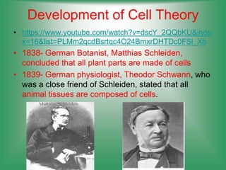 Development of Cell Theory
• https://www.youtube.com/watch?v=dscY_2QQbKU&inde
x=16&list=PLMm2qcdBsrtqc4O24BmxrDHTDc0FSl_Xb
• 1838- German Botanist, Matthias Schleiden,
concluded that all plant parts are made of cells
• 1839- German physiologist, Theodor Schwann, who
was a close friend of Schleiden, stated that all
animal tissues are composed of cells.
 