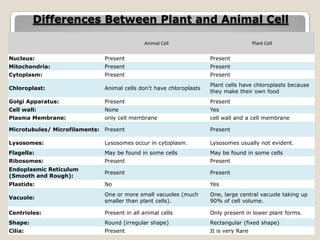 Differences Between Plant and Animal Cell