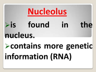 contains genetic material ---> CHROMOSOMES(DNA)Nucleolus is found in the nucleus.