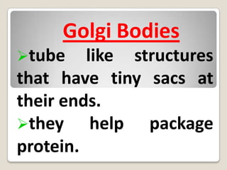 Ribosomestiny spherical bodies that help make proteins.