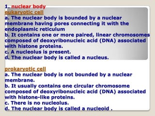 1. nuclear body eukaryotic cell a. The nuclear body is bounded by a nuclear membrane having pores connecting it with the endoplasmic reticulum b. It contains one or more paired, linear chromosomes composed of deoxyribonucleic acid (DNA) associated with histone proteins.c. A nucleolus is present.d. The nuclear body is called a nucleus.prokaryotic cell a. The nuclear body is not bounded by a nuclear membrane.b. It usually contains one circular chromosome composed of deoxyribonucleic acid (DNA) associated with histone-like proteins.c. There is no nucleolus.d. The nuclear body is called a nucleoid .
