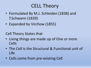 CELL Theory
• Formulated By M.J. Schleiden (1838) and
T.Schwann (1839)
• Expanded by Virchow (1855)
Cell Theory States that
• Living things are made up of One or more
Cells
• The Cell is the Structural & Functional unit of
Life
• Cells come from pre-existing Cell