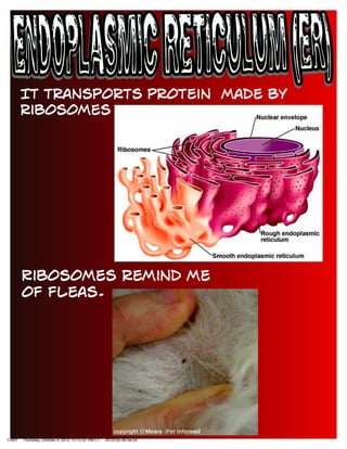 11991 Thursday, October 4, 2012 12:15:52 PM CT 00:25:bc:db:5e:54