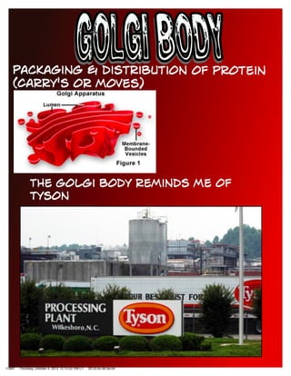 11991 Thursday, October 4, 2012 12:15:52 PM CT 00:25:bc:db:5e:54