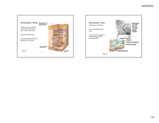 16/09/2012




Cell Connections ‐ Animals      Cell Connections ‐ Plants
                                Cell walls are connected
Tight junctions: a series of 
closely connected proteins      Cells are therefore held in 
(sort of like a sewn seam)      place

Channels between cells          Series of pores through cell 
                                walls (technically called 
Increased surface area where    plasmodesmata)
absorption is important.




  Fig 6.32

                                                           Fig 6.33




                                                                             14
 