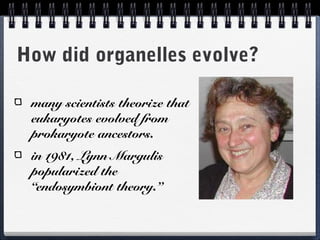 How did organelles evolve?
many scientists theorize that
eukaryotes evolved from
prokaryote ancestors.
in 1981, Lynn Margulis
popularized the
“endosymbiont theory.”
 