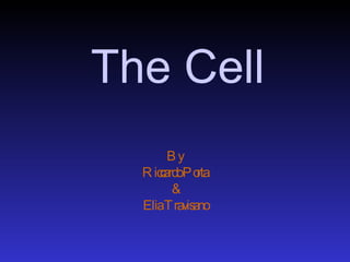 The Cell By Riccardo Porta & Elia Travisano 