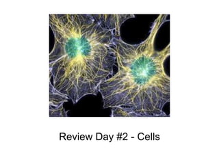 Review Day #2 - Cells
 