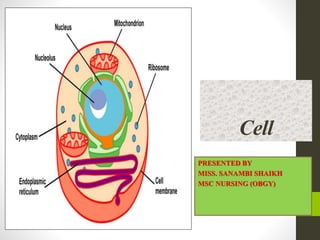 Cell
PRESENTED BY
MISS. SANAMBI SHAIKH
MSC NURSING (OBGY)
 
