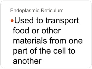 Cells (Structure and Function) | PPTX