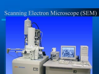 Scanning Electron Microscope (SEM)
 