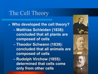 The Cell Theory
● Who developed the cell theory?
– Matthias Schleiden (1838):
concluded that all plants are
composed of cells
– Theodor Schwann (1839):
concluded that all animals are
composed of cells
– Rudolph Virchow (1855):
determined that cells come
only from other cells
 