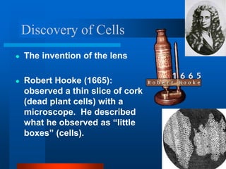 Discovery of Cells
● The invention of the lens
● Robert Hooke (1665):
observed a thin slice of cork
(dead plant cells) with a
microscope. He described
what he observed as “little
boxes” (cells).
 
