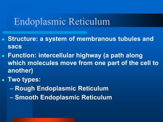 Endoplasmic Reticulum
● Structure: a system of membranous tubules and
sacs
● Function: intercellular highway (a path along
which molecules move from one part of the cell to
another)
● Two types:
– Rough Endoplasmic Reticulum
– Smooth Endoplasmic Reticulum
 