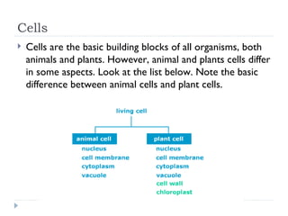 Cells Cells are the basic building blocks of all organisms, both animals and plants. However, animal and plants cells differ in some aspects. Look at the list below. Note the basic difference between animal cells and plant cells. 