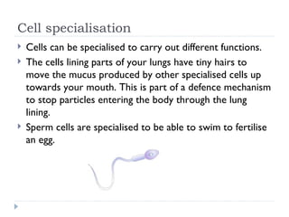 Cell specialisation Cells can be specialised to carry out different functions. The cells lining parts of your lungs have tiny hairs to move the mucus produced by other specialised cells up towards your mouth. This is part of a defence mechanism to stop particles entering the body through the lung lining. Sperm cells are specialised to be able to swim to fertilise an egg.  