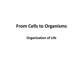From Cells to Organisms
Organisation of Life
 