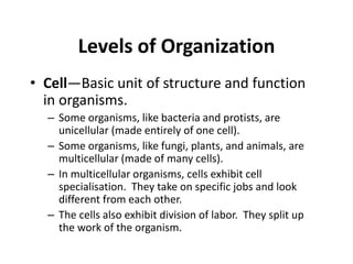 Anatomy - Topic 1 (A) From Cells to organisms | PPT