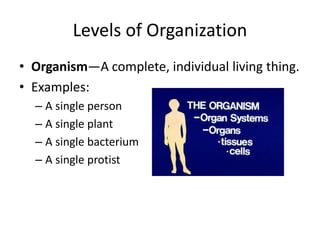 Organisam Example Anatomy - Topic 1 (A) From Cells to organisms | PPT